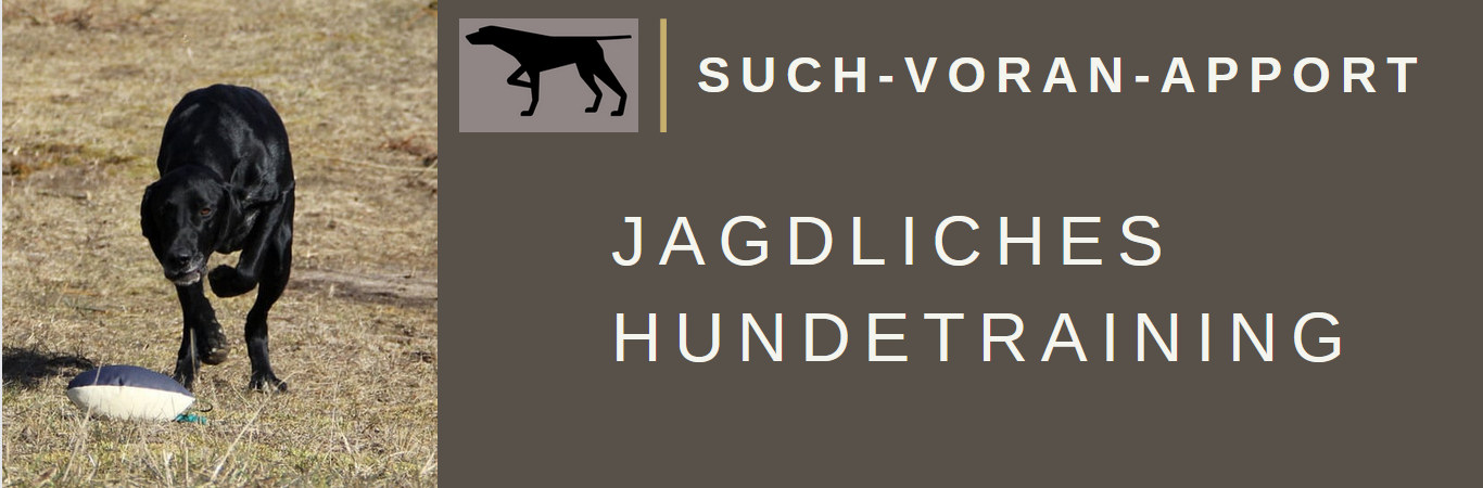 Such Voran Apport JaglichesHundetraining